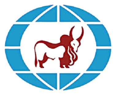 IndusInd Bank logo