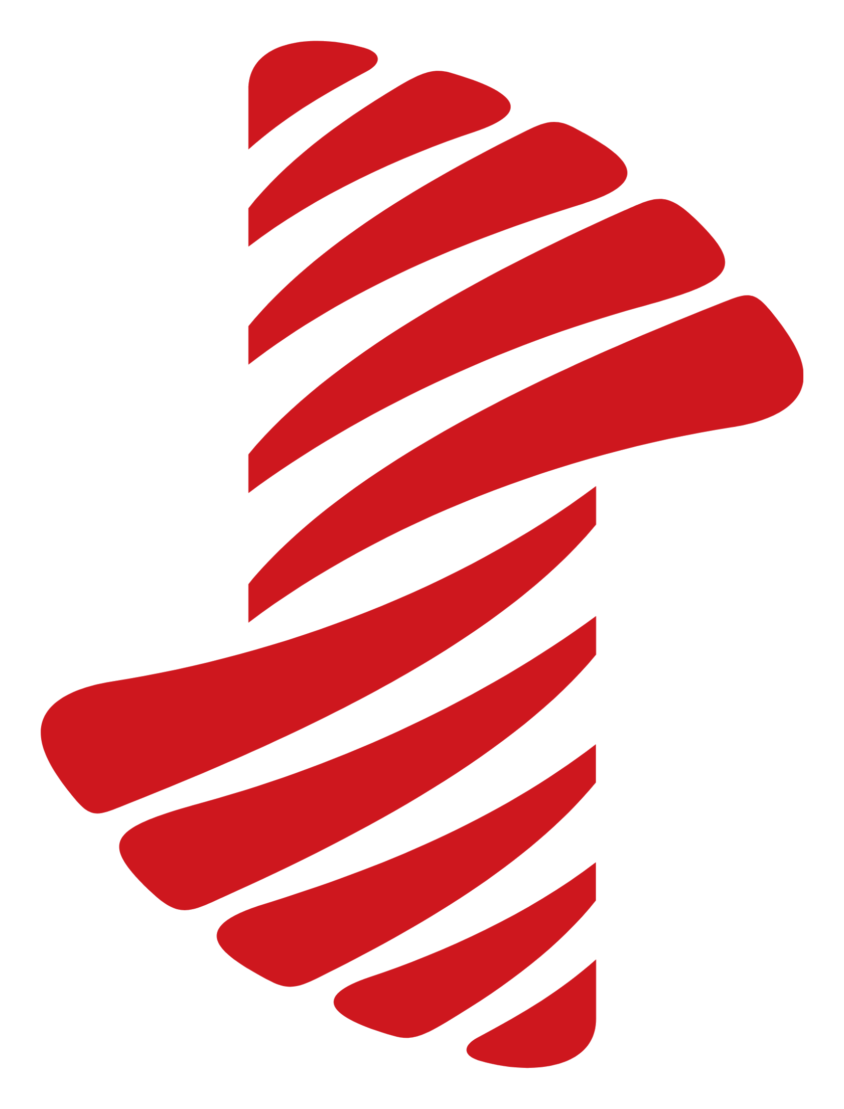 South Indian Bank logo